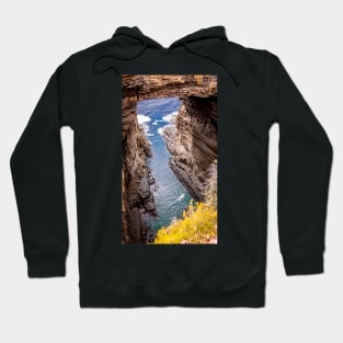 Tasmania Hoodie